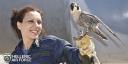 Hellenic Air Force falcon handler - an ancient tradition used today to scare birds out of airports, a common cause of accidents.